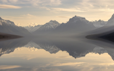 The Cooperative Hierarchy: Anticipating Our Mutual Needs