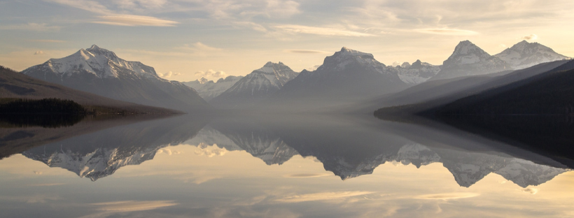 The Cooperative Hierarchy: Anticipating Our Mutual Needs